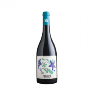 Caruso-e-Minini-Perripo-247x247 (1)